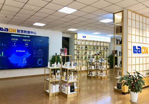 雙輪驅(qū)動(dòng)再出發(fā) 激活濟(jì)南對外開放強(qiáng)引擎