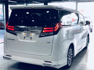 埃爾法四座櫻花版蒙娜麗莎商務(wù)車(chē)驚艷全國(guó)